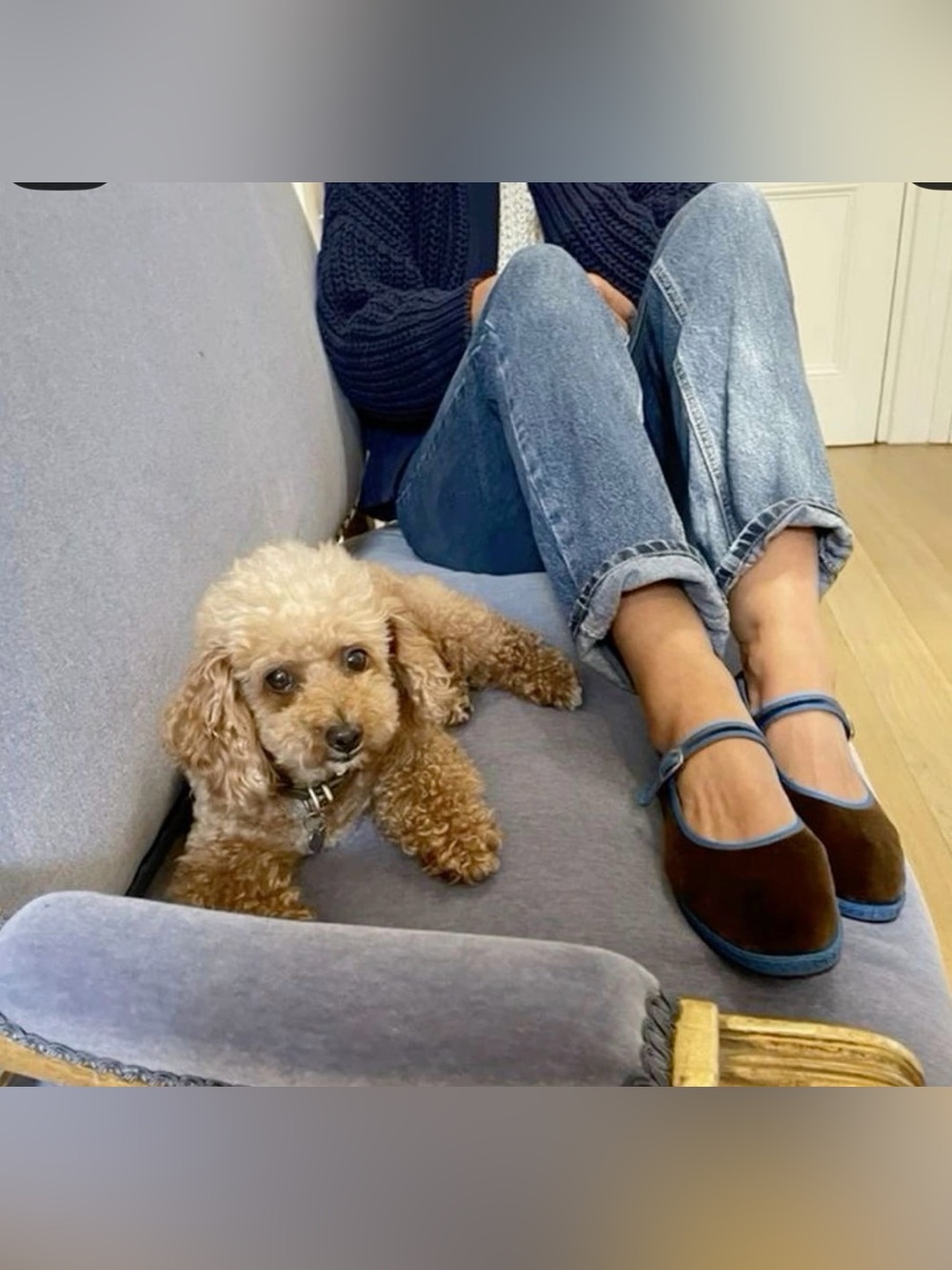 Vibi Venezia brown velvet Mary Jane flats - Picture 11 of 11